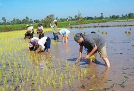 Volunteer Cambodia Volunteer Cambodia