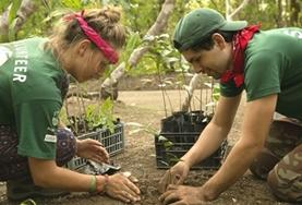 Volunteer Conservation & Environment Volunteer Conservation & Environment